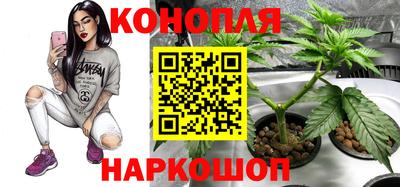PSILOCYBIN Можайск