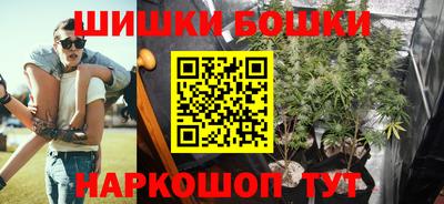 PSILOCYBIN Можайск