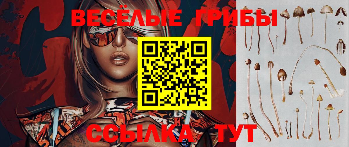 Псилоцибиновые грибы Psilocybine cubensis Учалы